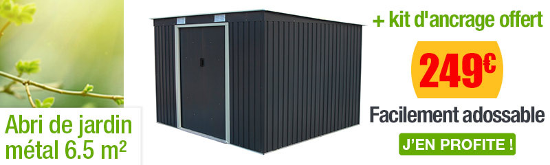 abri de jardin metal toit plat