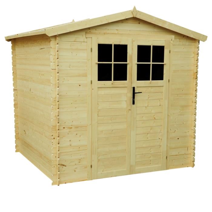 abri jardin moins cher
