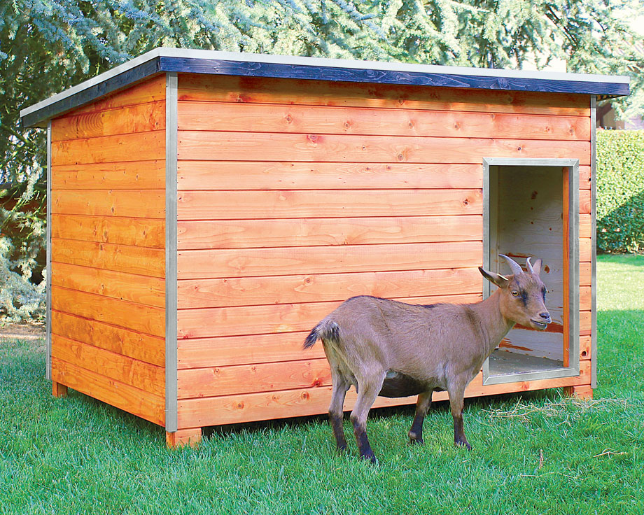 abris animaux