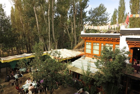 avis house and garden
