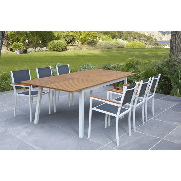 avis table eucalyptus