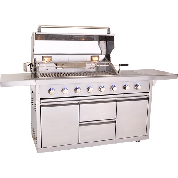 barbecue avec rotissoire gaz
