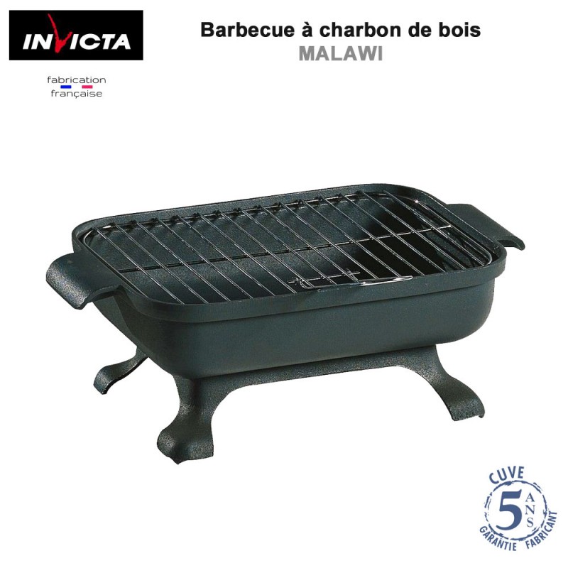 barbecue charbon bois poser
