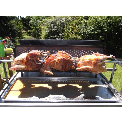 barbecue rotissoire charbon