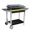 barbecue sunny a charbon de bois