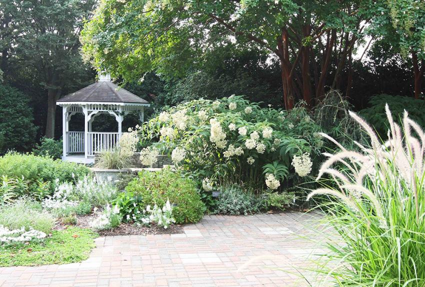 blanc jardin