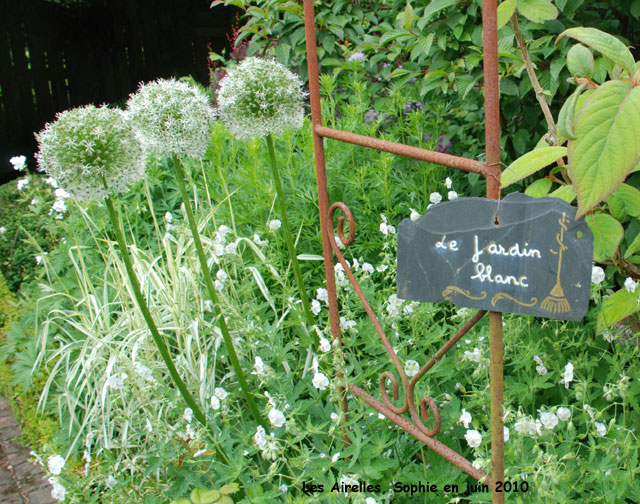 blanc jardin