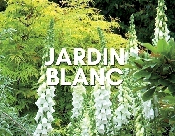 blanc jardin