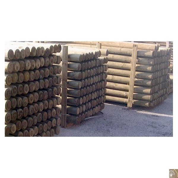 bois autoclave pologne