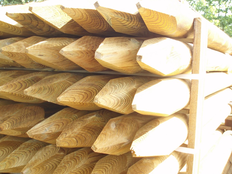 bois autoclave pologne