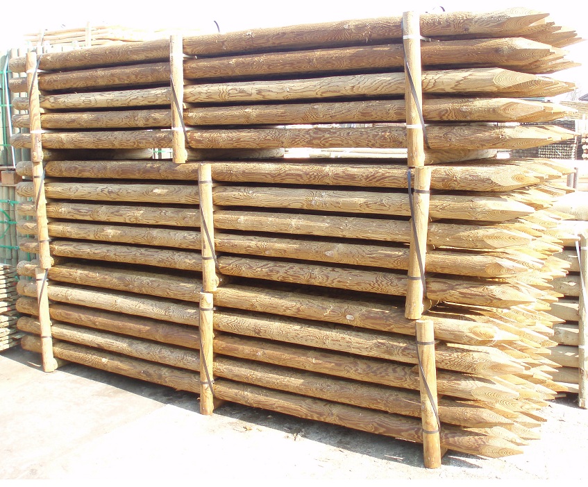 bois autoclave pologne