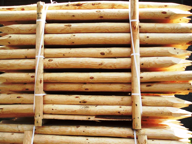 bois autoclave pologne