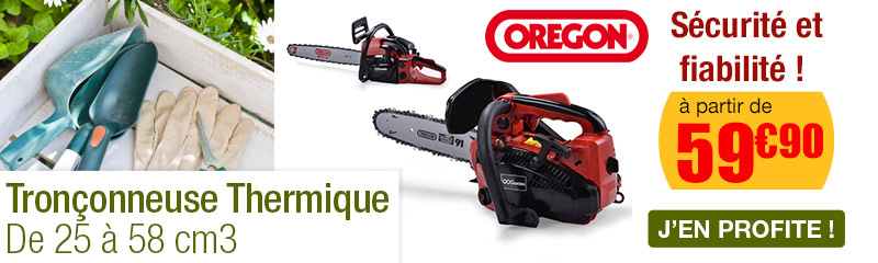 chaine elagueuse oregon