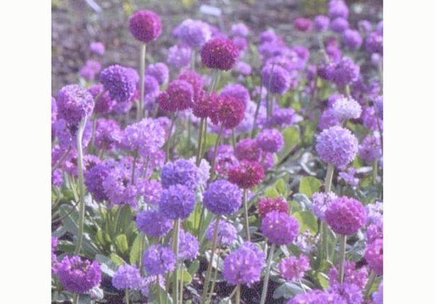 chauffage jardin d hiver