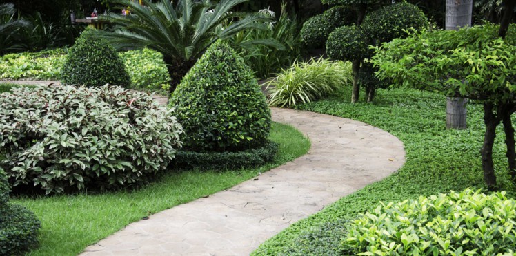 de jardin
