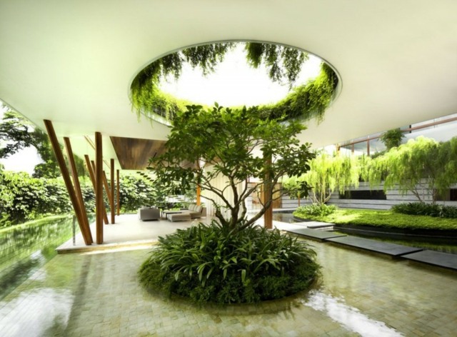 desing jardin