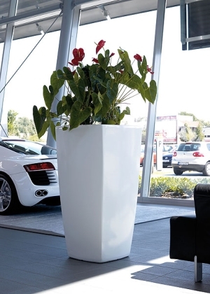 grand pot de fleur belgique
