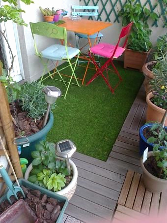 herbe pour balcon