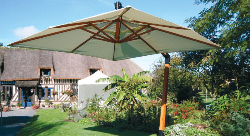 parasol bois deporte