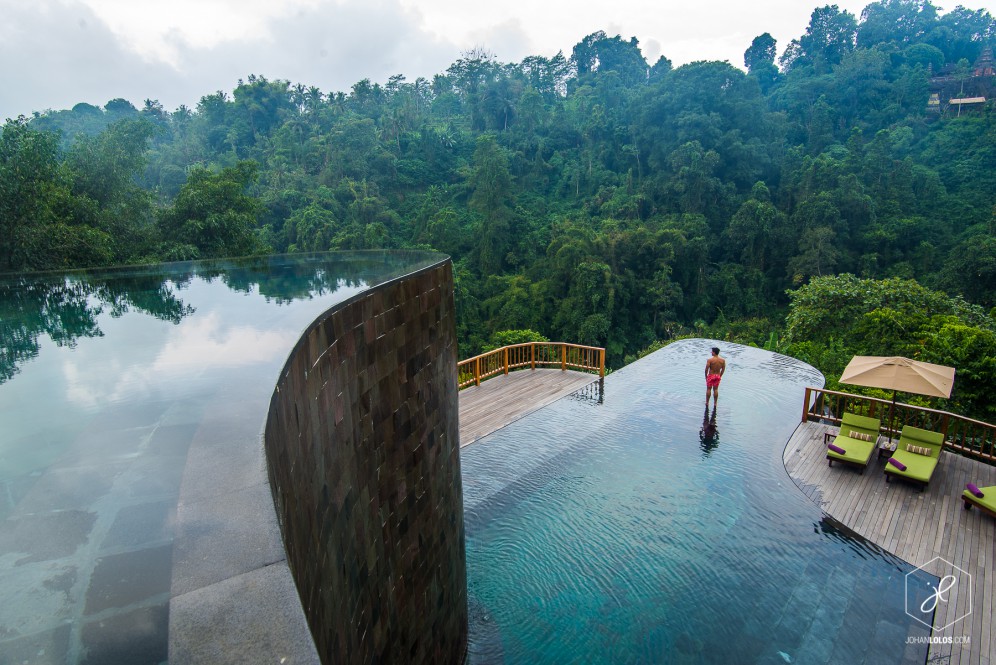 piscine at garden