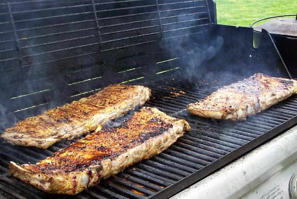 plancha pour feu de bois