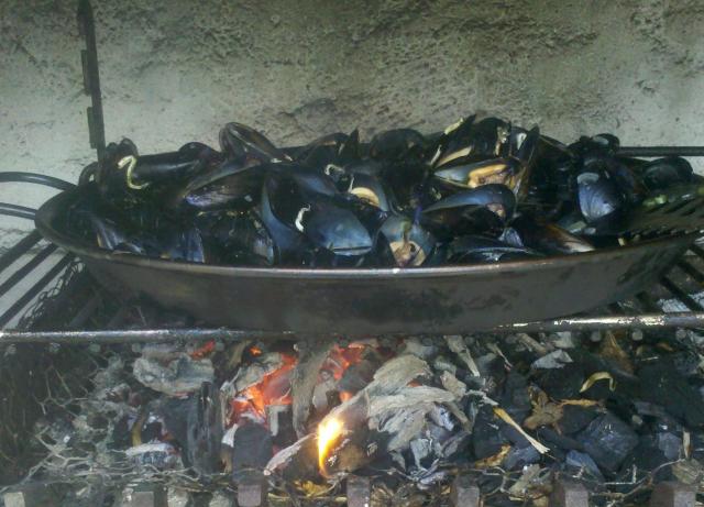 plancha pour feu de bois