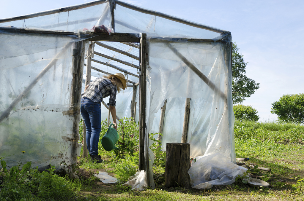 polythene pour serre