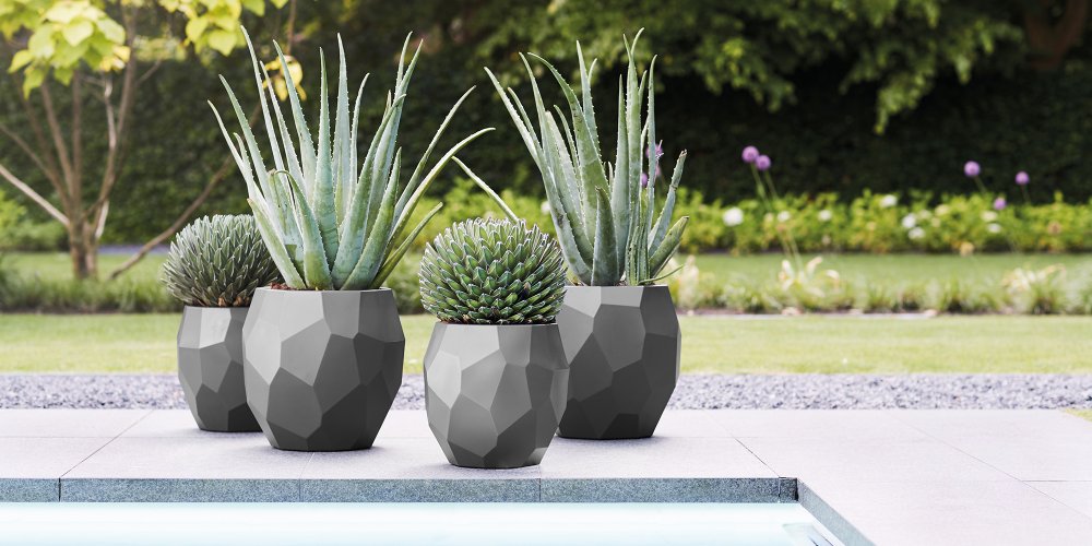 pot de fleur terrasse
