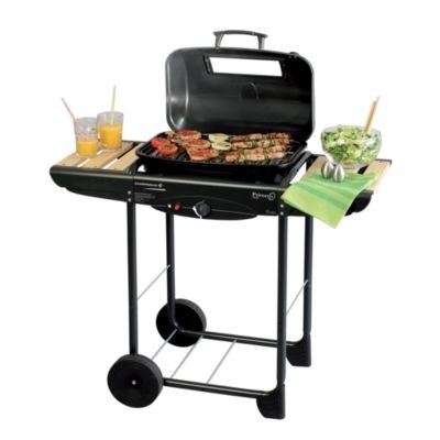 prix barbecue a gaz