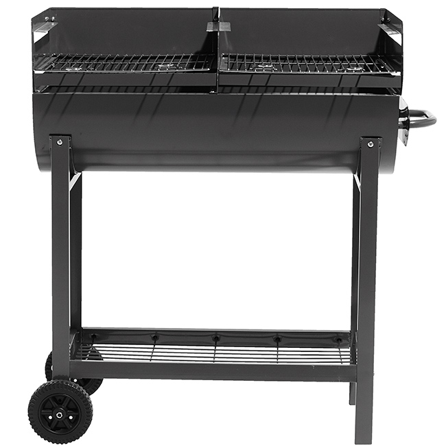prix charbon barbecue