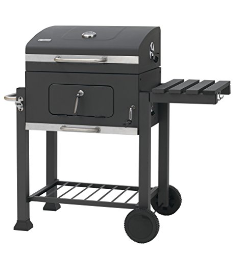 prix charbon barbecue